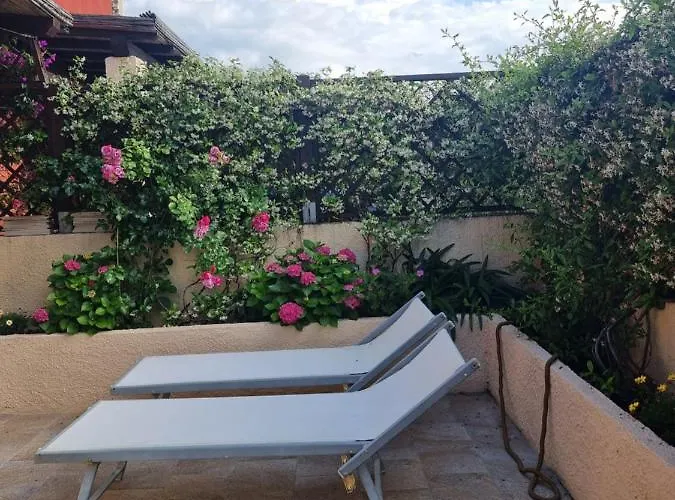 Lulamax Sardegna Olbia